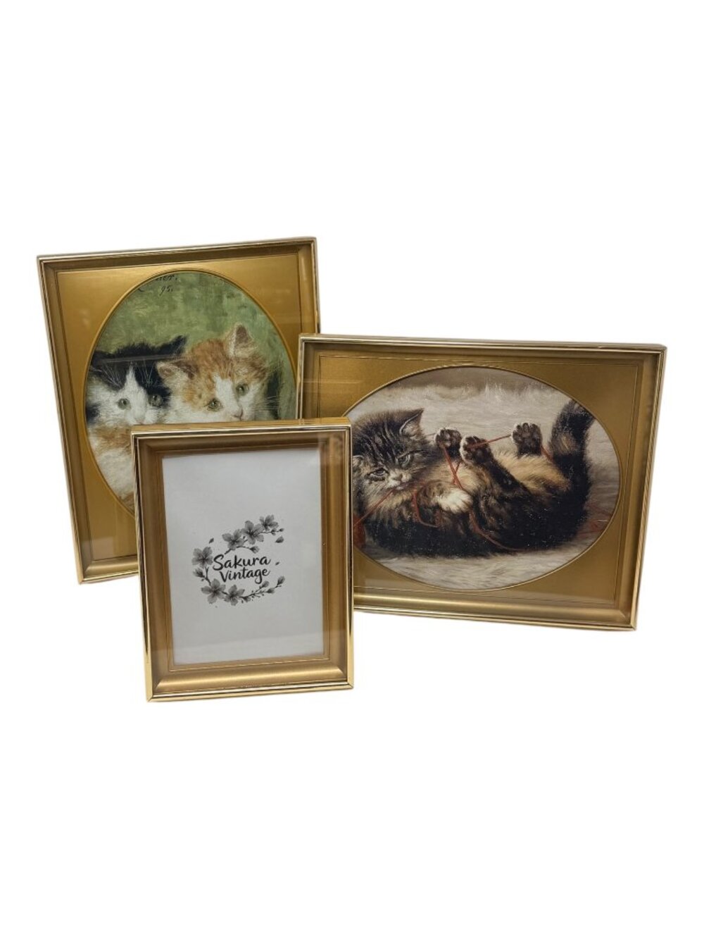 Vintage Brass Oval and Rectangular Inset Mat Photo Frames Set 3 Shadow Box Style